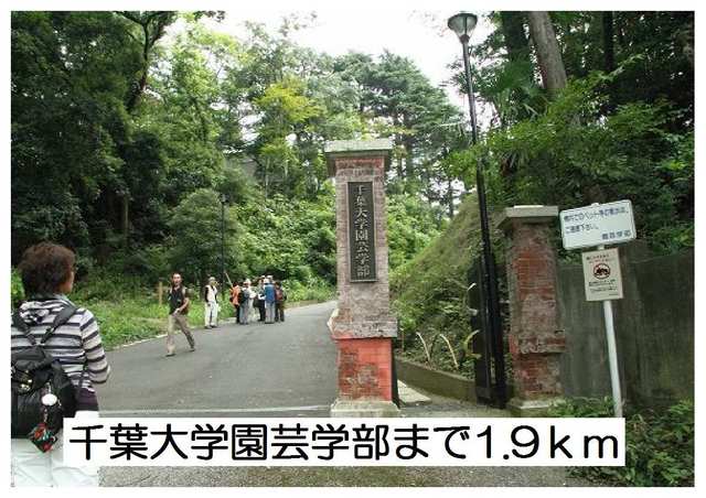 大学・短大　千葉大学園芸学部（大学・短大）まで1900m