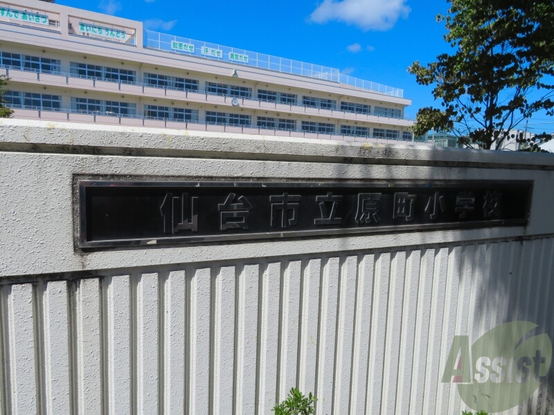 小学校　仙台市立原町小学校（小学校）まで912m