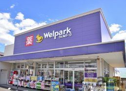 ドラックストア　ウェルパーク志木幸町店（ドラッグストア）まで590m