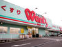 ドラックストア　ハーティウォンツ江波店（ドラッグストア）まで154m