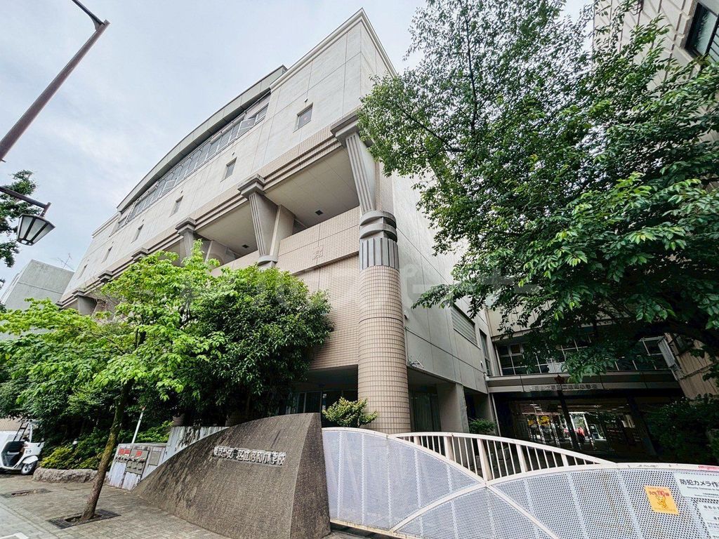 小学校　文京区立昭和小学校（小学校）まで370m