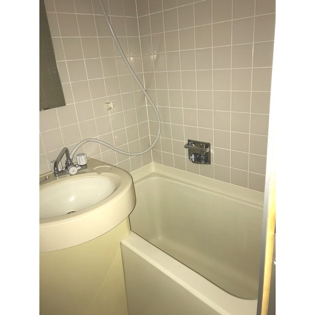 バス・シャワールーム　同タイプ・別部屋画像