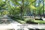 公園　靭公園（公園）まで650m