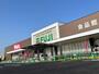 ドラックストア　ウォンツ／フジ古市店（ドラッグストア）まで339m