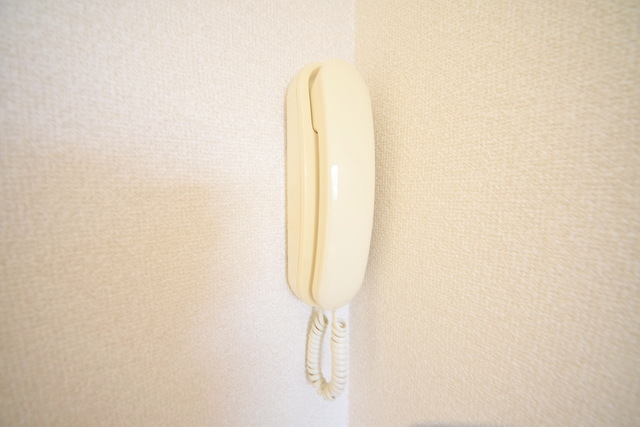 セキュリティ　～はーい、どちら様～別号室参考写真