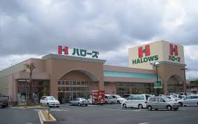 スーパー　ハローズ津高店（スーパー）まで847m