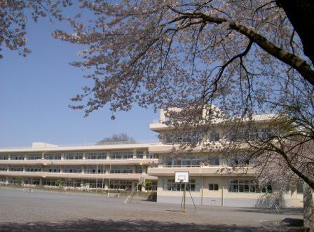 小学校　青梅市立新町小学校（小学校）まで541m