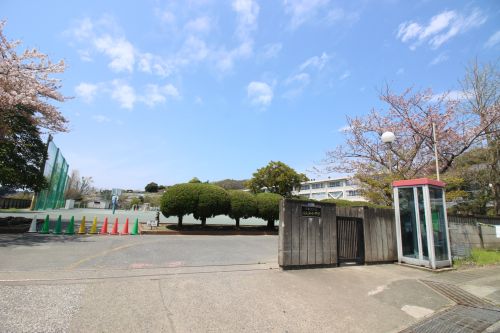 小学校　津久井浜小学校（小学校）まで1297m