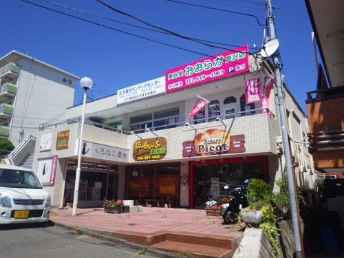 その他　ピコット（その他）まで1303m