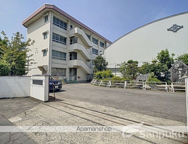 小学校　石井小学校（小学校）まで527m