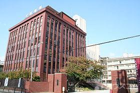 大学・短大　私立大阪成蹊大学（大学・短大）まで176m