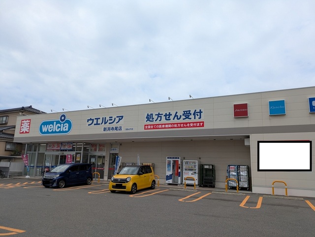 ドラックストア　ウエルシア薬局新潟寺尾店（ドラッグストア）まで909m