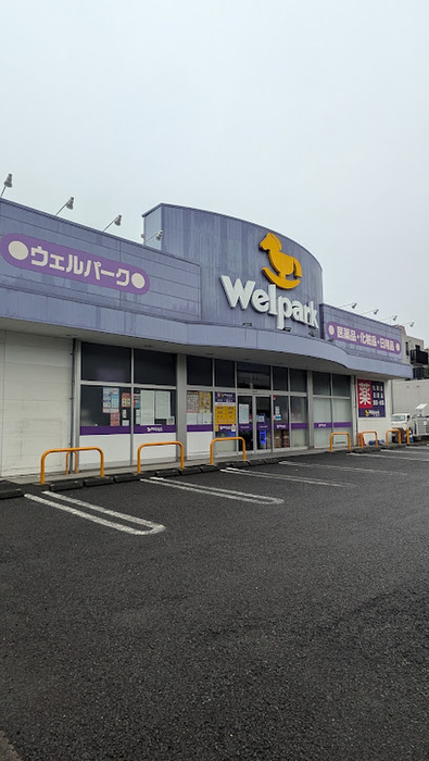 ドラックストア　ウェルパーク桜新町店（ドラッグストア）まで550m