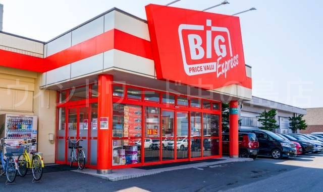 ホームセンター　ザ・ビッグエクスプレス平岸店（ホームセンター）まで222m