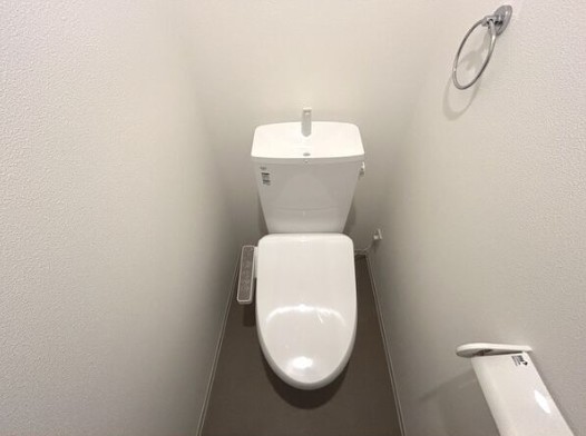 トイレ　※同一シリーズ参考写真