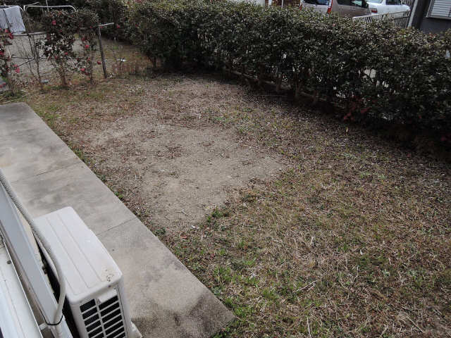 庭