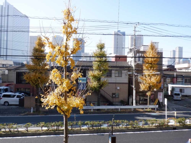 東急東横線 武蔵小杉駅 徒歩11分 7階建 築16年のその他写真