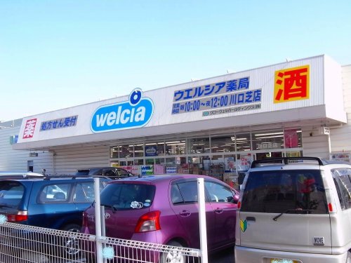 ドラックストア　ウエルシア川口芝店（ドラッグストア）まで899m