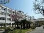 小学校　高槻市立北大冠小学校（小学校）まで697m