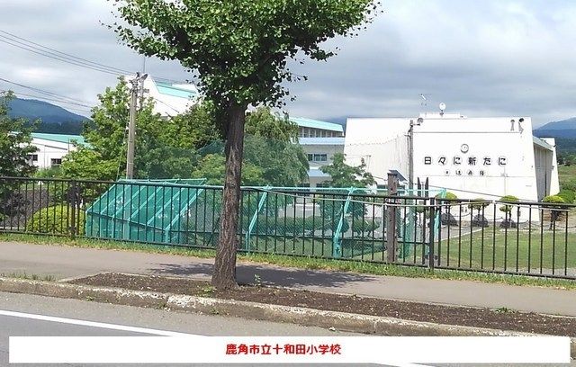 小学校　鹿角市立十和田小学校（小学校）まで350m