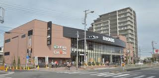 スーパー　阪急オアシス高殿店（スーパー）まで695m