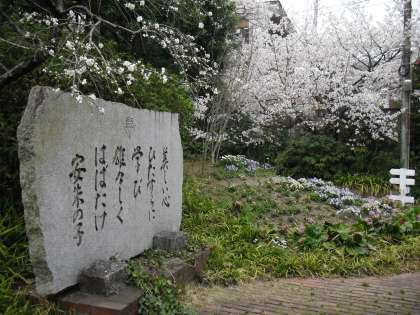 小学校　京都市立 安朱小学校（小学校）まで623m