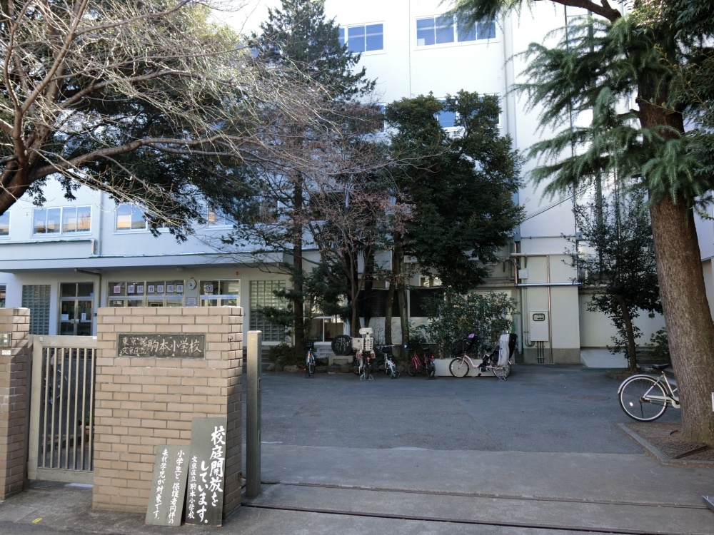 小学校　文京区立駒本小学校（小学校）まで88m