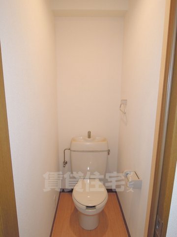 メゾン青龍館のトイレ写真