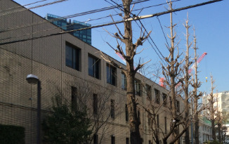 小学校　港区立赤羽小学校（小学校）まで727m