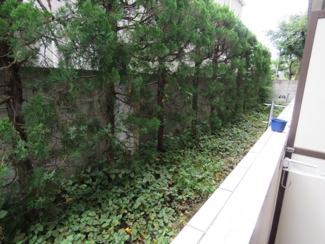 ライラック祖師谷のその他写真