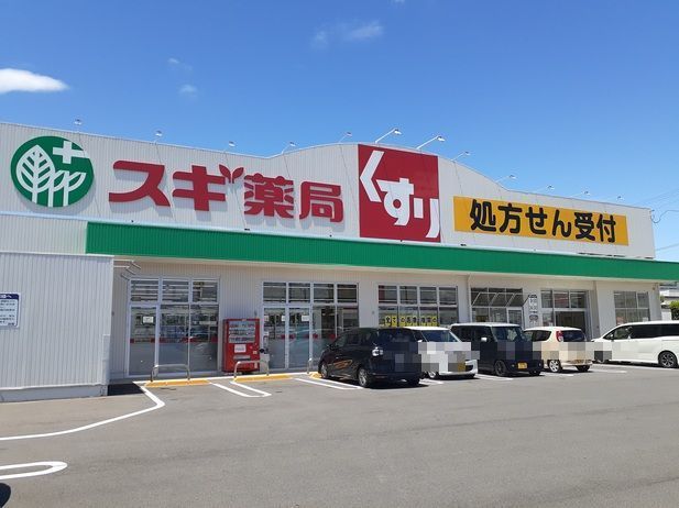 ドラックストア　スギ薬局岐南店（ドラッグストア）まで900m