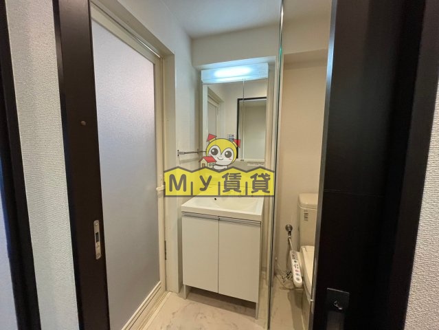洗面設備　プレシャスコート金山