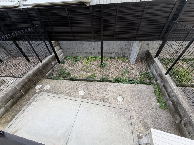 庭