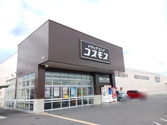 ドラックストア　コスモス下阪本店（ドラッグストア）まで1100m