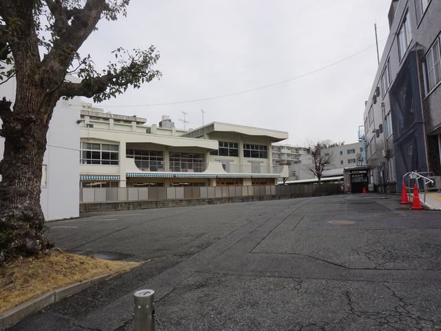 【メイビル向陽町の幼稚園・保育園】