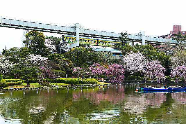 【シャーメゾン椿森の公園】