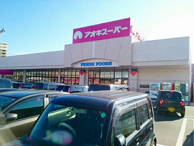 スーパー　アオキスーパー　三条店（スーパー）まで1100m