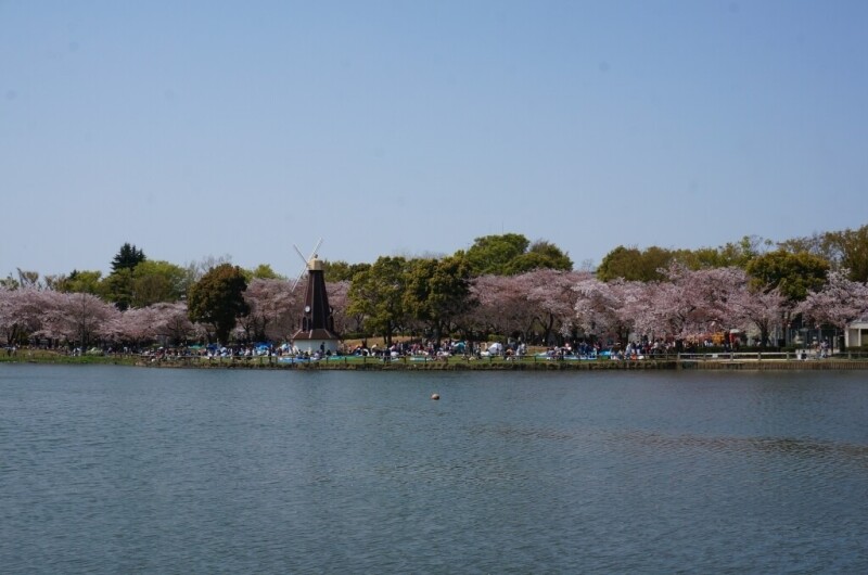 公園　浮間公園（公園）まで826m