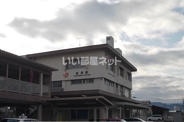 その他　吉原（その他）まで768m