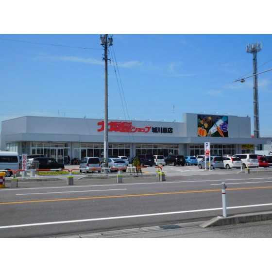 スーパー　大阪屋ショップ城川原店（スーパー）まで381m