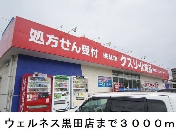 ドラックストア　ウェルネス黒田店（ドラッグストア）まで3000m