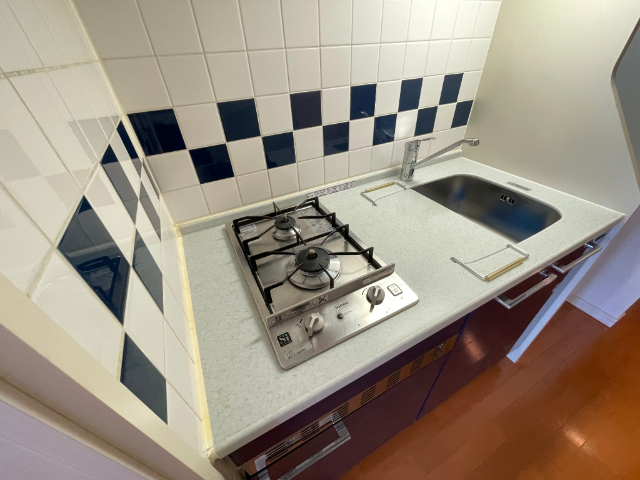 玄関　※同物件他号室の写真です。