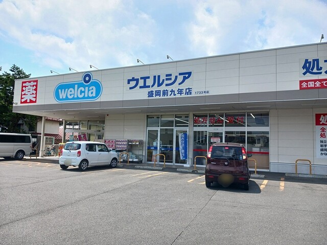 ドラックストア　ウエルシア盛岡前九年店（ドラッグストア）まで532m