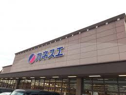 スーパー　カネスエ北園通店（スーパー）まで1994m