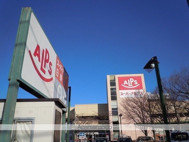 スーパー　アルプス（スーパー）まで1100m