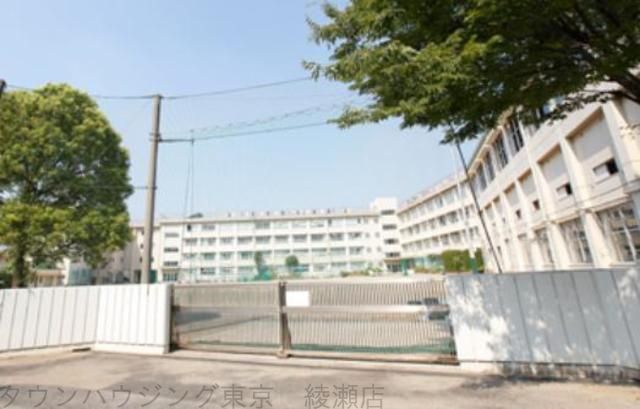 中学校　葛飾区立新宿中学校（中学校）まで570m