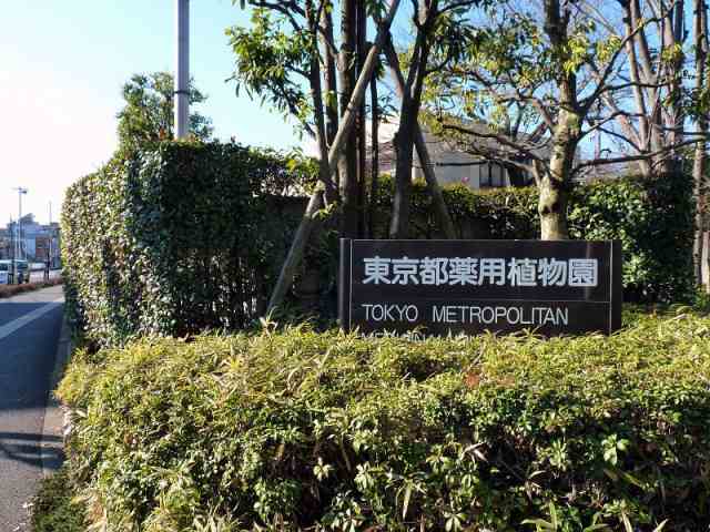 その他　薬用植物園（その他）まで400m