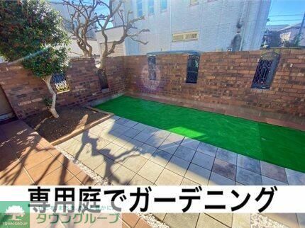 庭