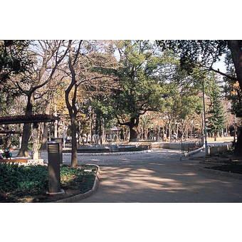 公園　十三公園（公園）まで200m