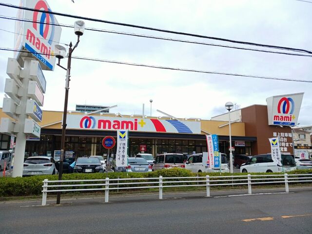 スーパー　マミープラス柏若葉町店（スーパー）まで600m